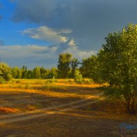 Волго-Ахтубинская пойма. :: Олег Рыбалко