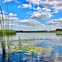 У июля платье зелёное, голубые глаза озёр. :: Восковых Анна Васильевна 