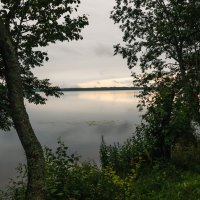 Вечер на озере :: Nyusha .