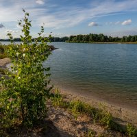 Пейзаж с берёзкой на берегу озера :: Николай Гирш