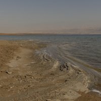 я покажу вам Мёртвое море...его разнообразие 1 :: Tatiana Kolnogorov