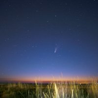 комета Neowise :: Александр Довгий