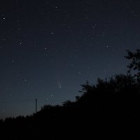 Комета в ночном небе :: Анатолий Антонов