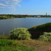 Шахты. Дикая вишня цветёт в овраге Грушевского водохранилища. :: Пётр Чернега