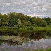 Вечером на Западной Двине. (Июль) :: Елена Струкова