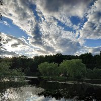 В Москве облачно с прояснениями :: Андрей Лукьянов