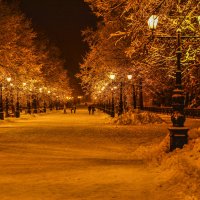 Был снежный день :: Eldar Baykiev