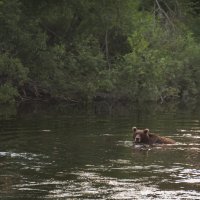 ... :: Евгений Житников