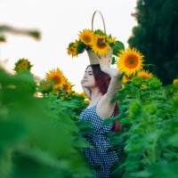 Sunflower :: Андрей Даниилов