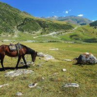 Киргизия,,, :: шмакова тамара 