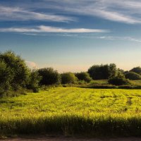 Луга :: M Marikfoto