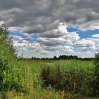 Так с берега выглядит моё любимое озеро Лебяжье. :: Восковых Анна Васильевна 