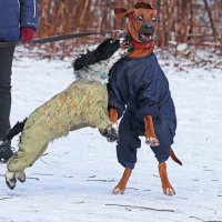 Сташно, аж жуть! :: Надежда Тимофеева 