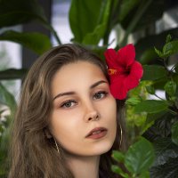 "Цветок гибискуса" :: Анастасия Белякова