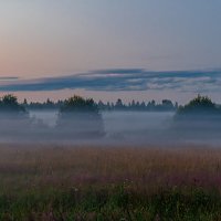 Туман... :: Виктор Желенговский