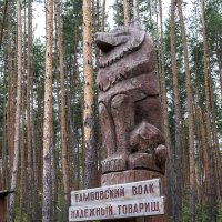 Тамбовский волк... :: Ольга Дядченко