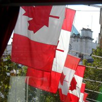 Флаги Канады в Лондоне :: Галина 