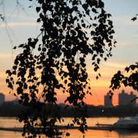 Закат на Химкинском водохранилище :: Тарас Золотько