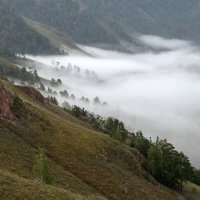 Торгашинский хребет в тумане. :: Марина Фомина.