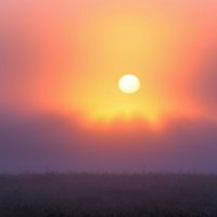 Встает в тумане тусклом солнце :: Валерий Иванович