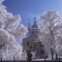 Тригуляйский мужской монастырь под Тамбовом :: Petr Popov