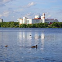 Семеновское озеро в центре города Мурманска. :: Анна Приходько
