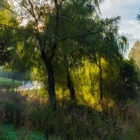 Кончается лето... :: Владимир Безбородов