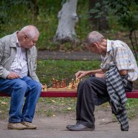 Шах и мат... :: leff Postnov