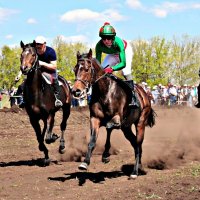 Флор и Лавр - лошадиный праздник :: Андрей Заломленков