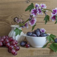 Натюрморт со сливами и виноградом :: Лидия Суюрова