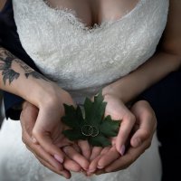 Wedding Rings :: Олеся Загорулько