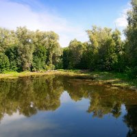 У лесного озера.. :: Андрей Заломленков