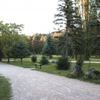 В парке :: Валентин Семчишин