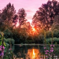Розовый закат у реки :: Татьяна Минаева