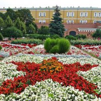 Цветник в Александровском саду :: Лидия Бусурина