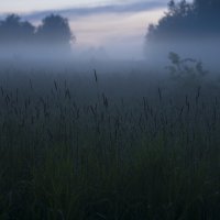 Вечерний туман :: Михаил Онипенко