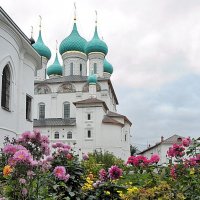 Осенние цветы Толгского монастыря :: Николай Белавин