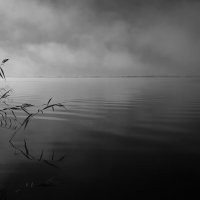 Озеро,туман. :: Павел 