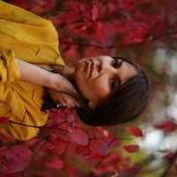 Осень  :: Ирина Карпенко 