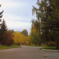Осень в парке . :: Мила Бовкун
