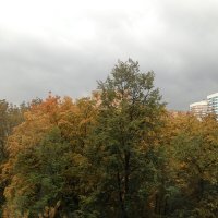 Вид из окна :: Ольга Тюпаева 