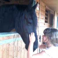 Я люблю свою лошадку...) :: Тамара Бедай 