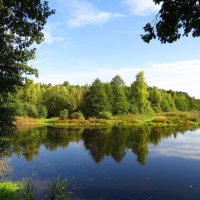 Тиха осенняя вода :: Андрей Снегерёв