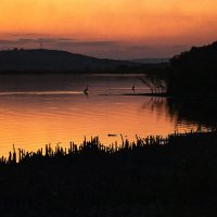 Вечер на озере :: Дмитрий Алексеев 