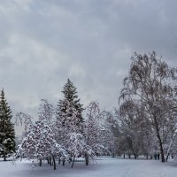 Зима :: SanSan 