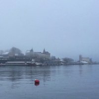 Туман на Акерсельве :: Eldar Baykiev