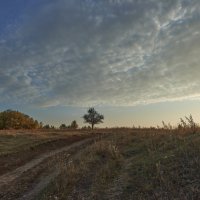 Рассвет :: Женя Лузгин