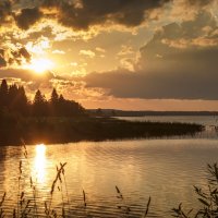 Закат на Сиверском озере :: Наталья Кузнецова