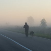 В туман. :: Владимир Безбородов