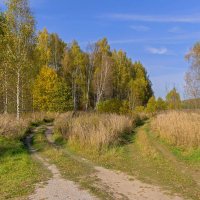 Осенний пейзаж :: Владимир Ефимов